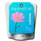 Cosmos Flower Colour and Grow Pocket Plants